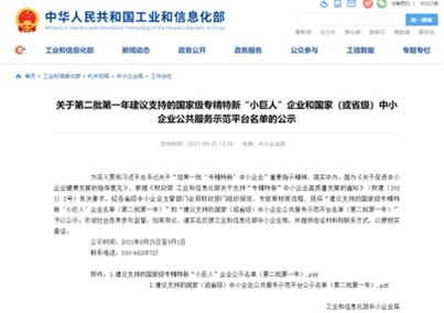 人生就是博-尊龙凯时医疗入选“国家级专精特新“小巨人”企业名单
